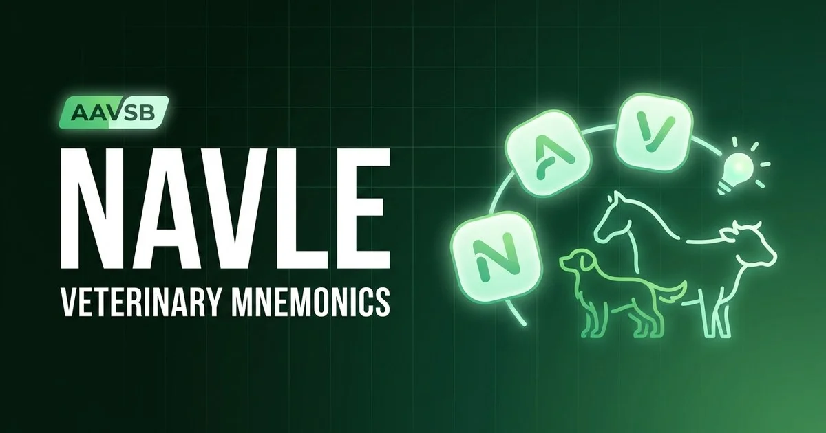 Veterinary mnemonics and memory tricks for the NAVLE exam
